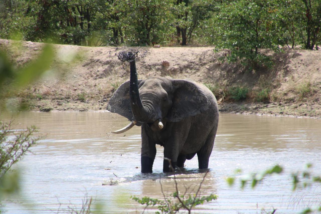 Bushvilla Umoja Kruger Phalaborwa Exteriör bild