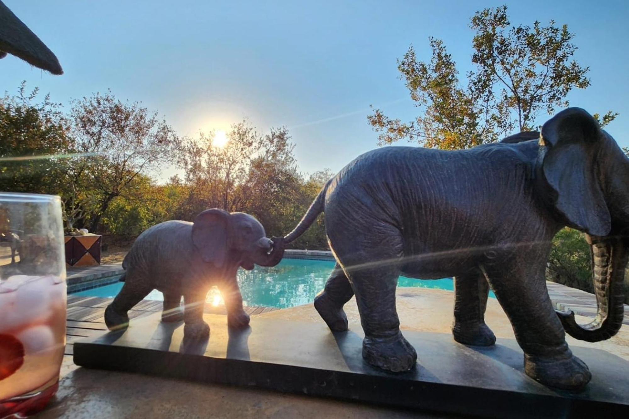 Bushvilla Umoja Kruger Phalaborwa Exteriör bild