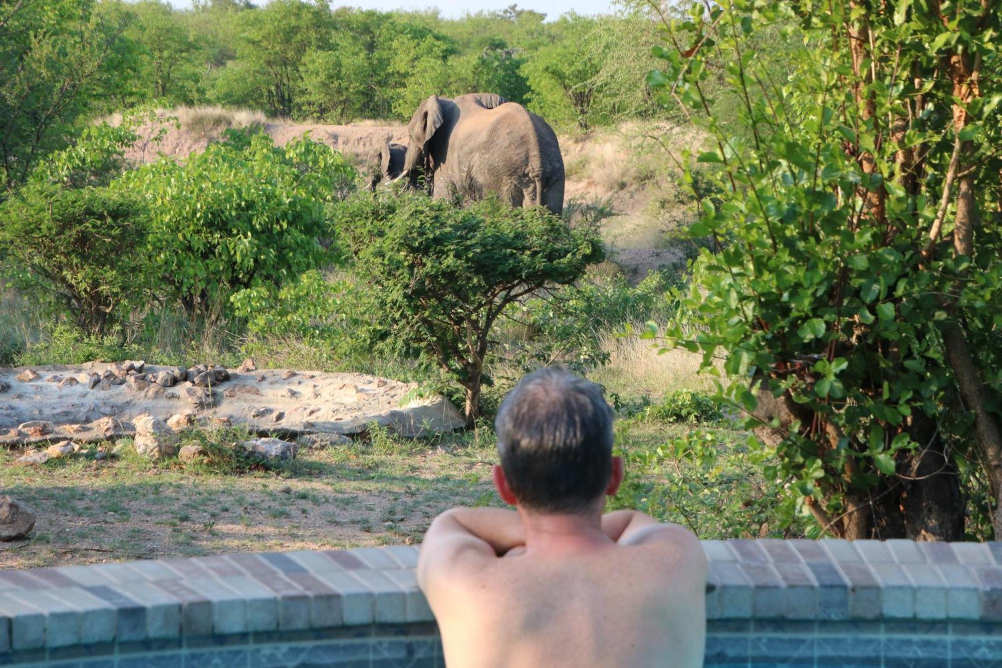 Bushvilla Umoja Kruger Phalaborwa Exteriör bild