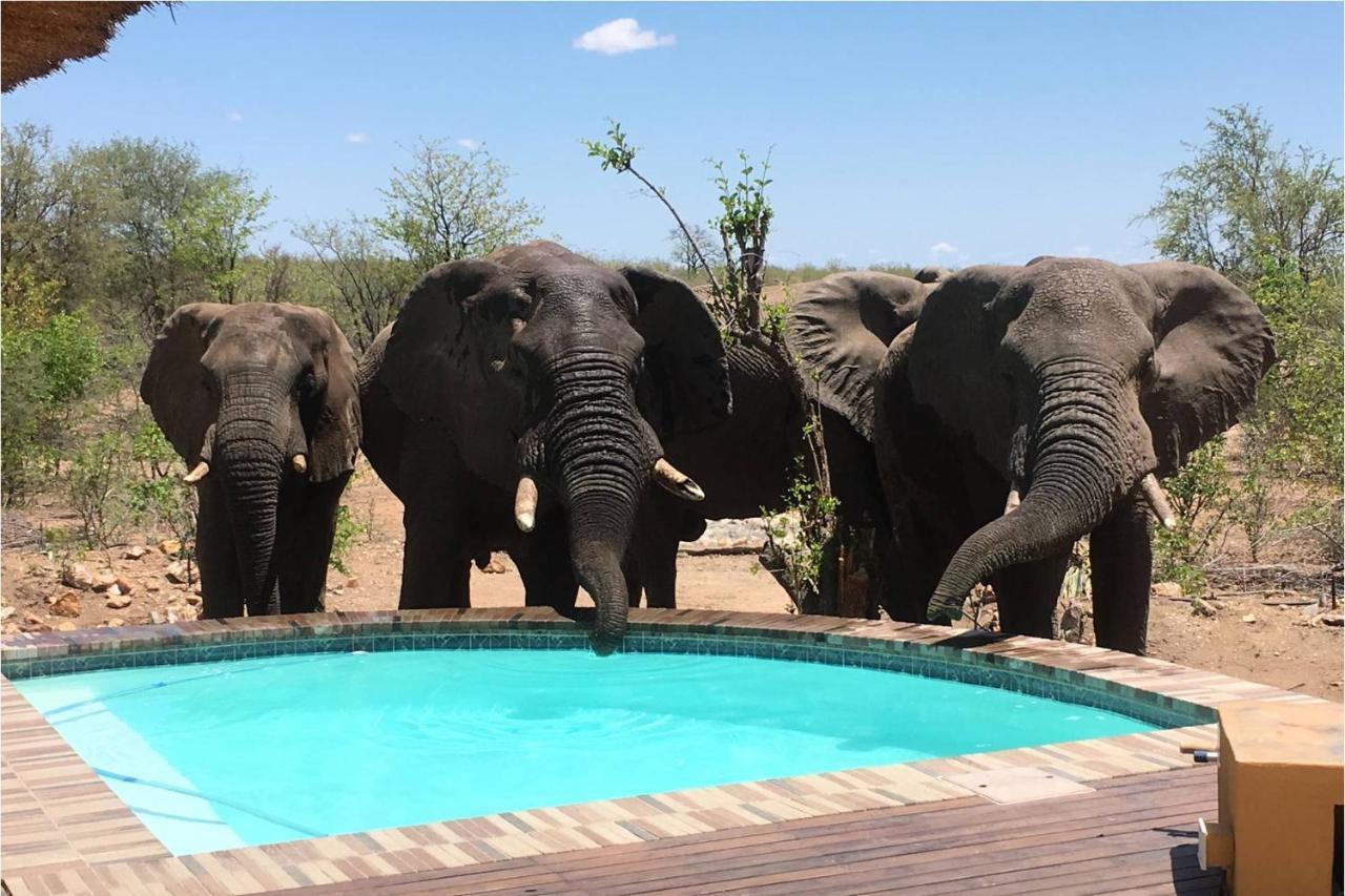 Bushvilla Umoja Kruger Phalaborwa Exteriör bild